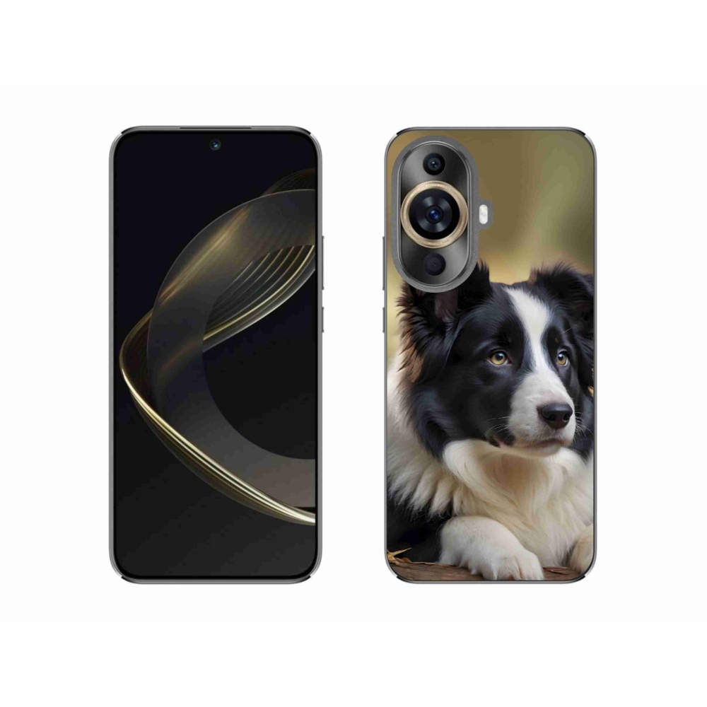 Gélový kryt mmCase na Huawei Nova 11 - border kólia 2