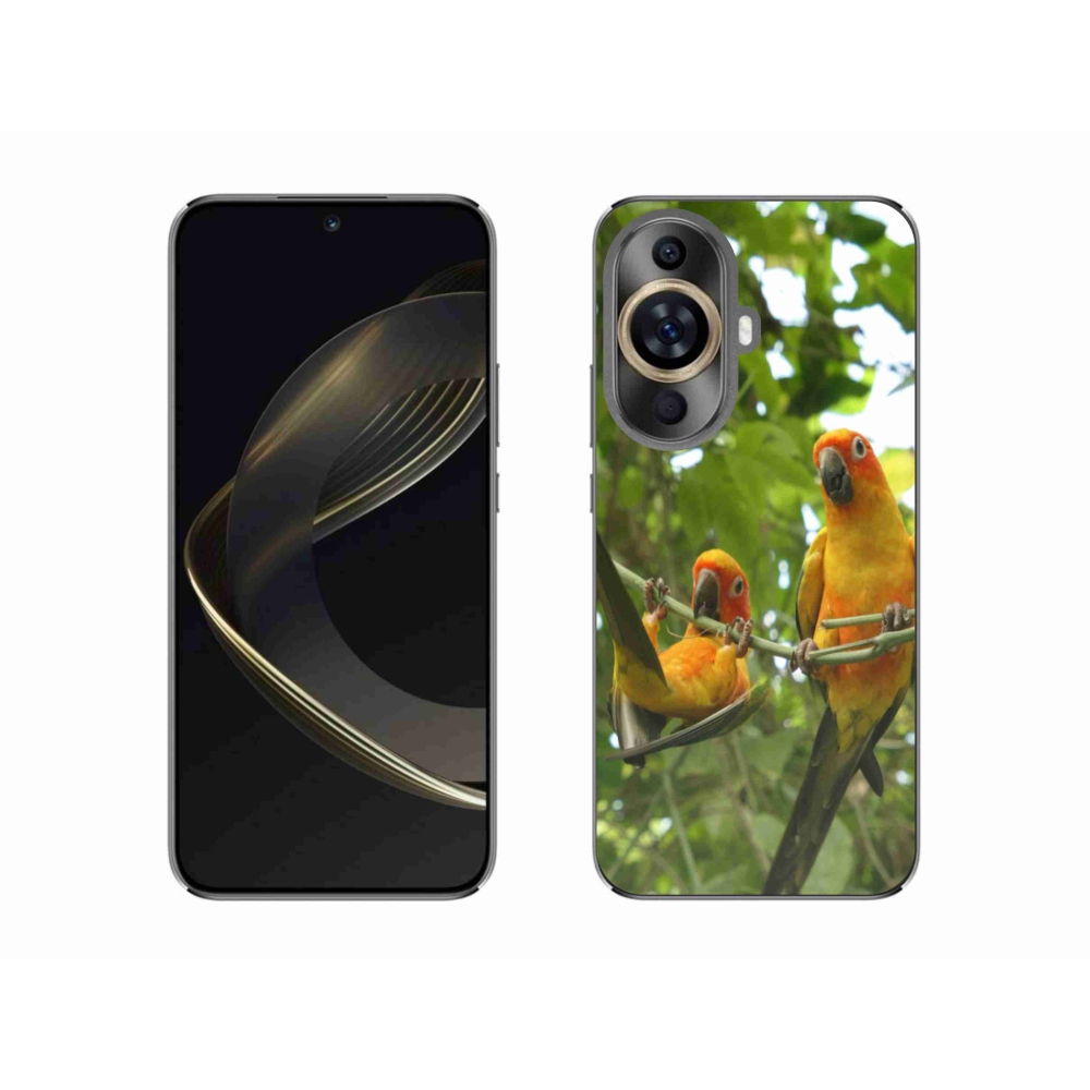 Gélový kryt mmCase na Huawei Nova 11 - papagáje aratingy