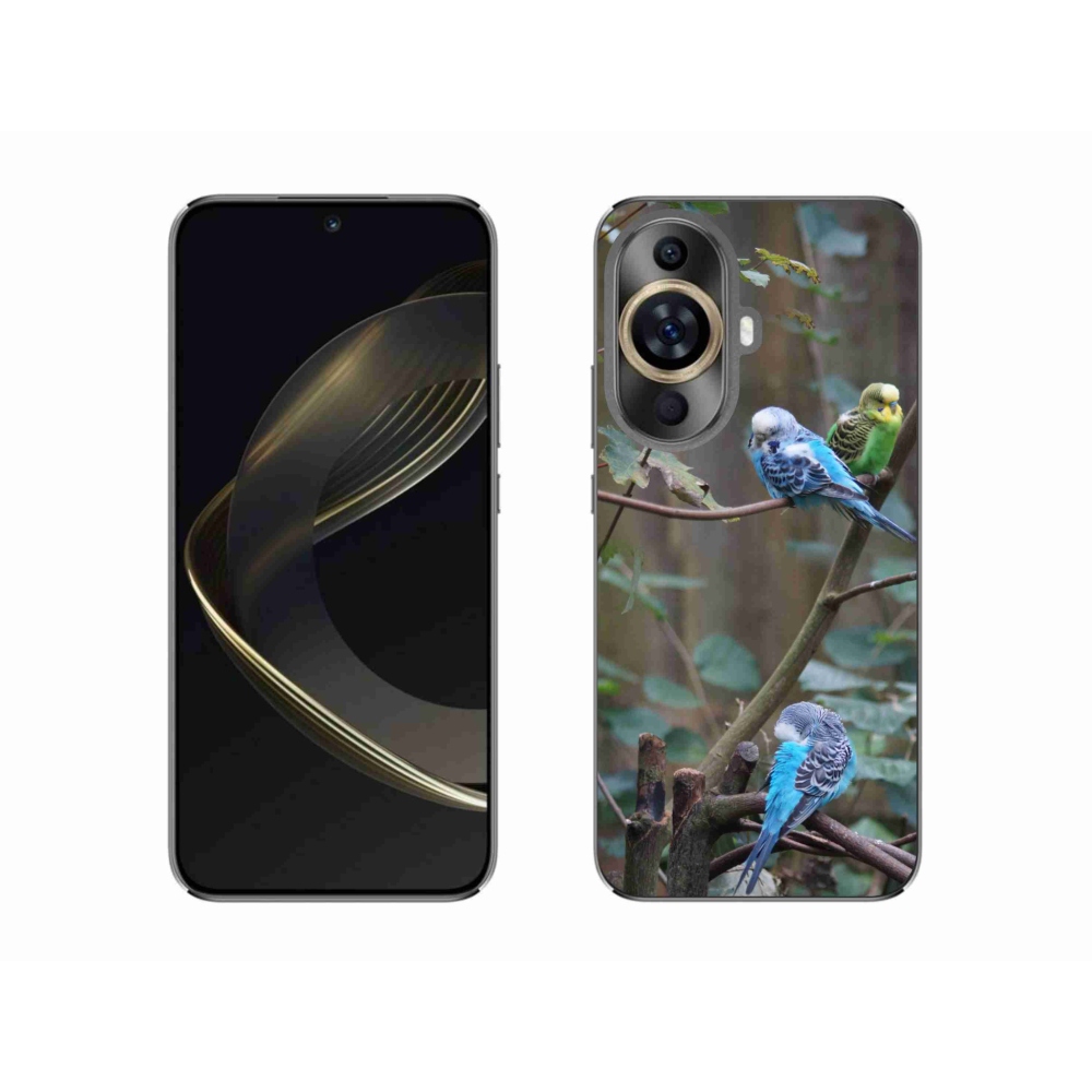 Gélový kryt mmCase na Huawei Nova 11 - papagáje na vetve