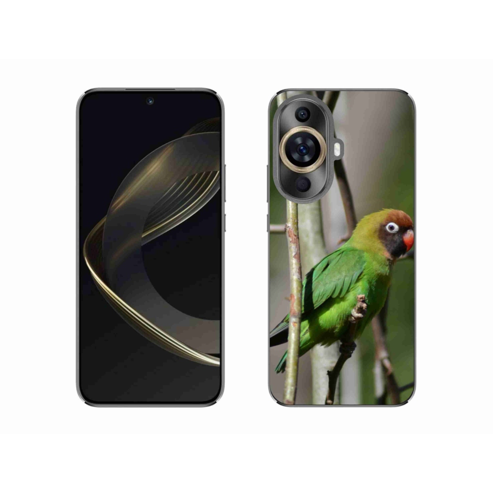 Gélový kryt mmCase na Huawei Nova 11 - papagáj agapornis