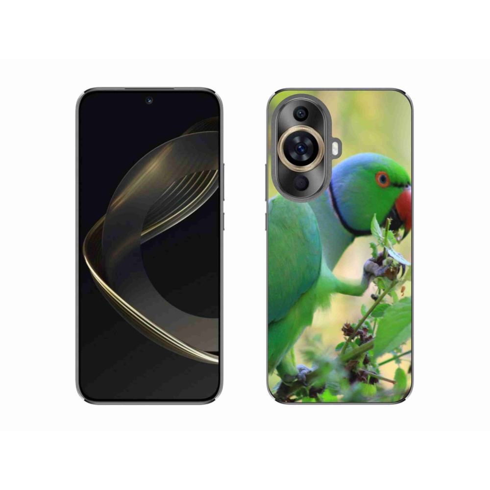 Gélový kryt mmCase na Huawei Nova 11 - papagáj Alexandr
