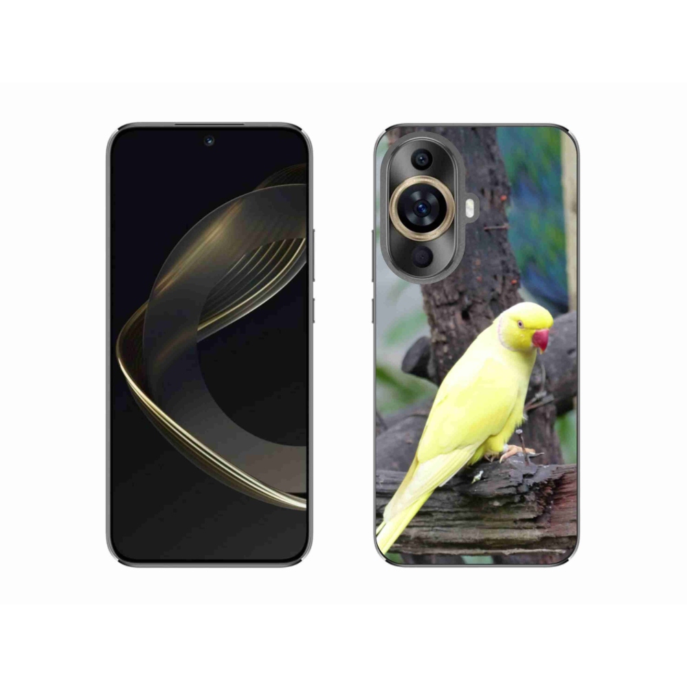 Gélový kryt mmCase na Huawei Nova 11 - papagáj alexander žltý