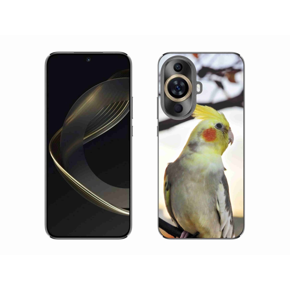 Gélový kryt mmCase na Huawei Nova 11 - papagáj korela