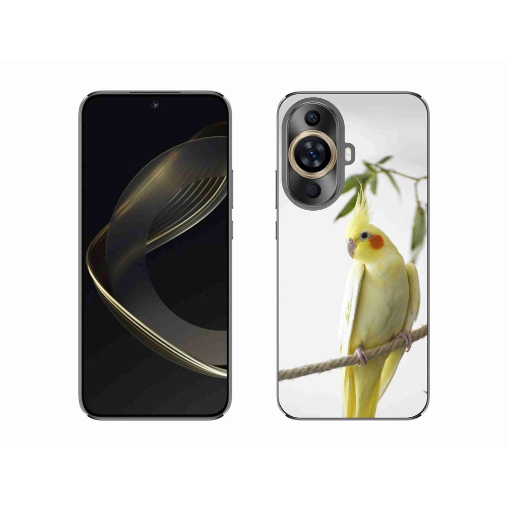 Gélový kryt mmCase na Huawei Nova 11 - papagáj korela chocholatá