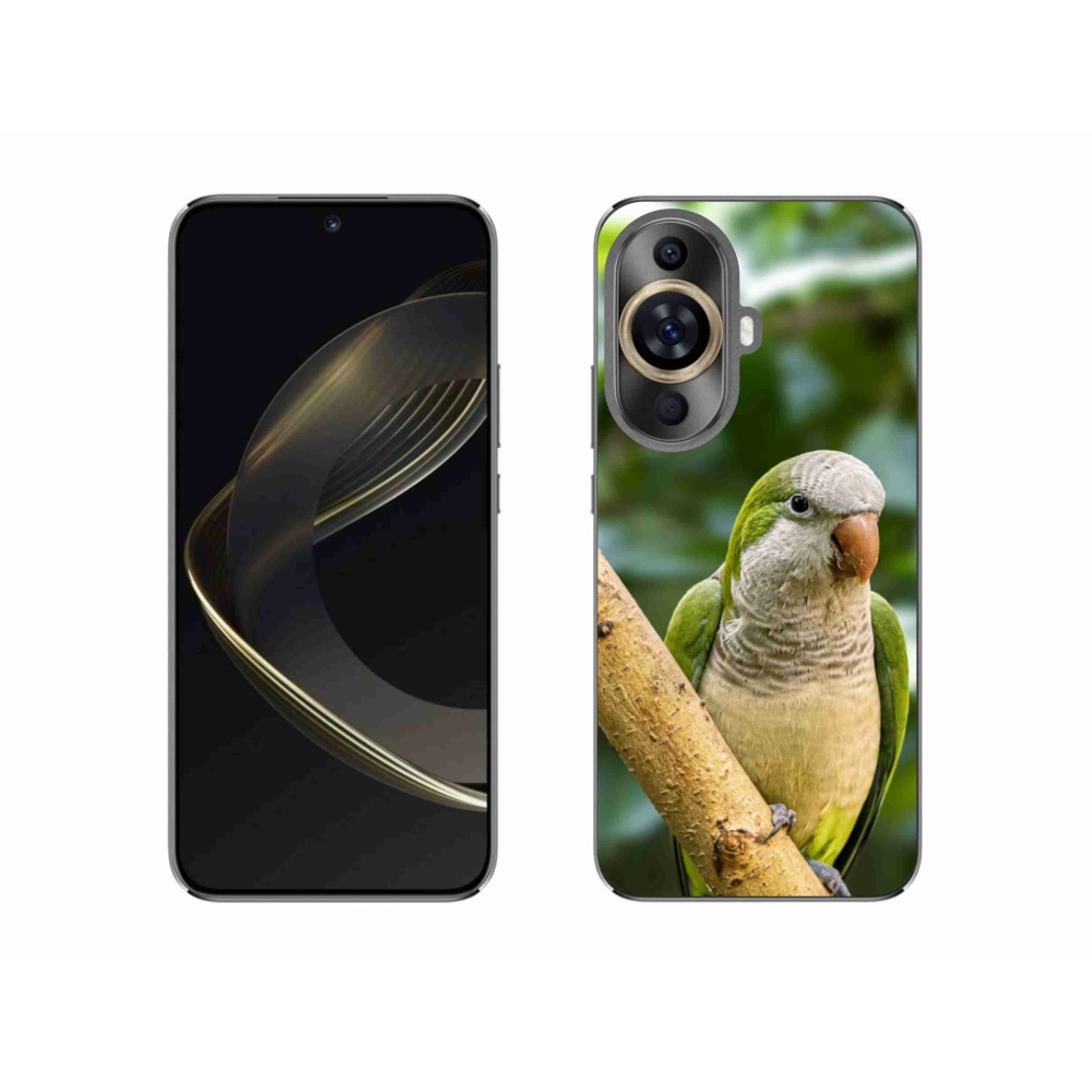 Gélový kryt mmCase na Huawei Nova 11 - papagáj mníšok