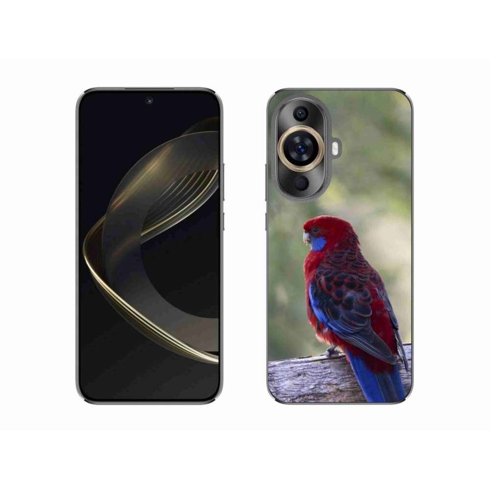 Gélový kryt mmCase na Huawei Nova 11 - papagáj rosela