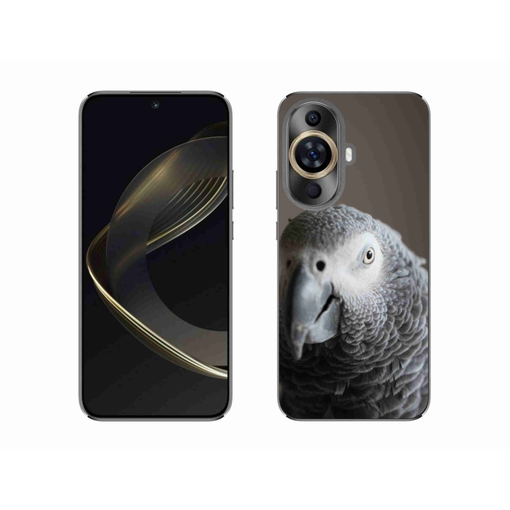 Gélový kryt mmCase na Huawei Nova 11 - papagáj žako 2