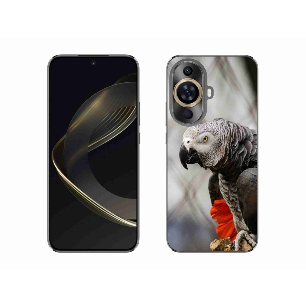 Gélový kryt mmCase na Huawei Nova 11 - papagáj žako 3