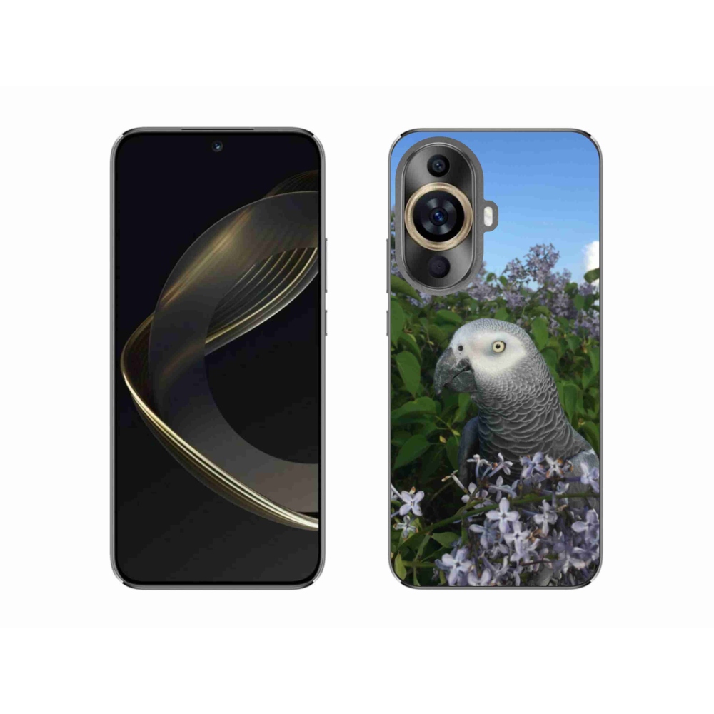 Gélový kryt mmCase na Huawei Nova 11 - papagáj žako