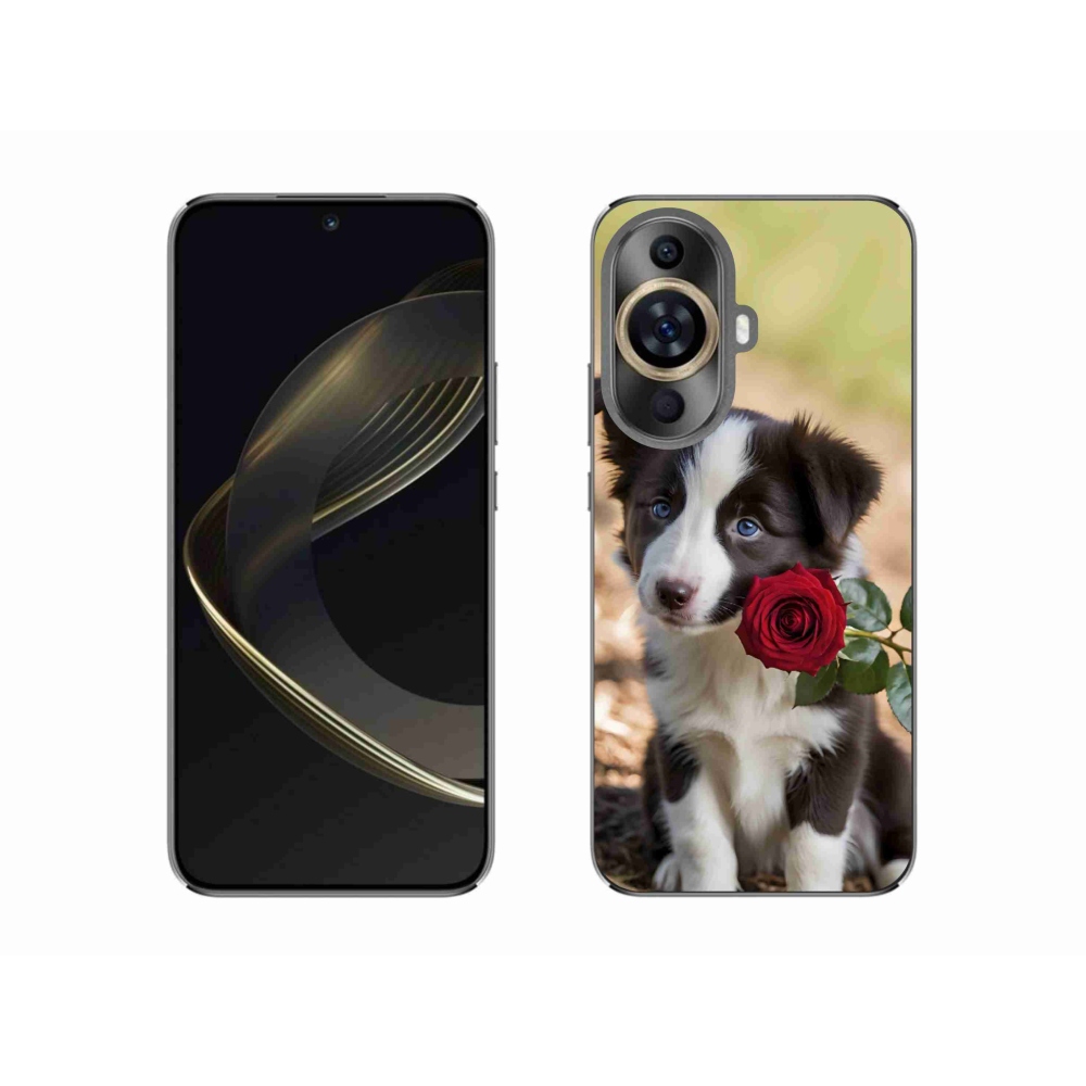 Gélový kryt mmCase na Huawei Nova 11 - roztomilá border kólia s ružou