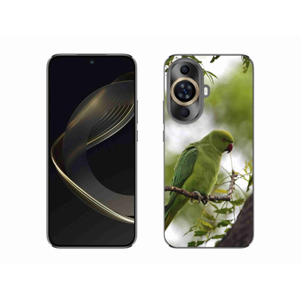 Gélový kryt mmCase na Huawei Nova 11 - zelený papagáj