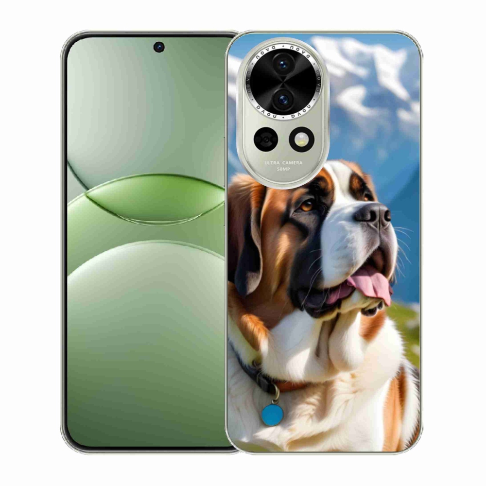 Gélový kryt mmCase na Huawei Nova 13 5G - bernardín