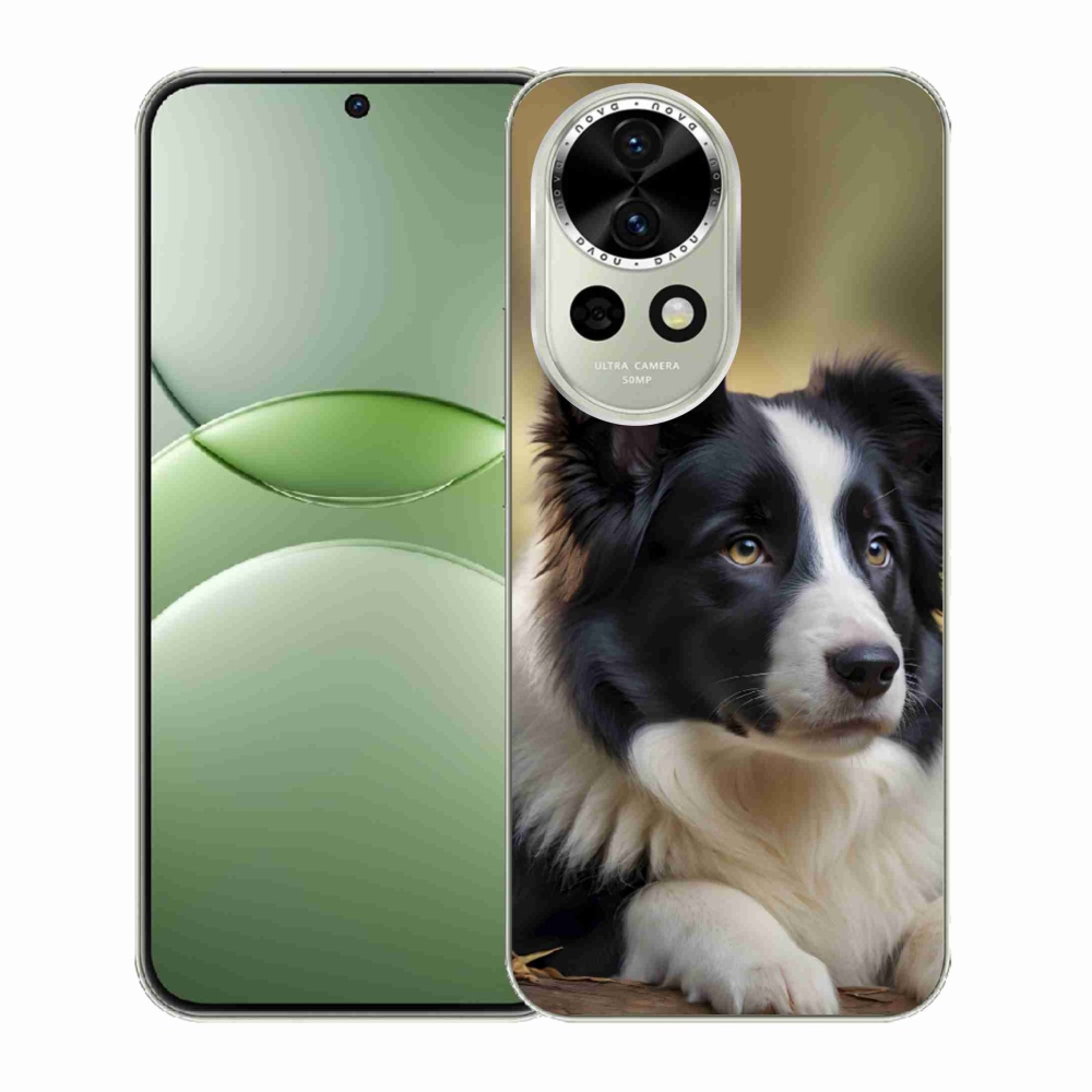 Gélový kryt mmCase na Huawei Nova 13 5G - border kólia 2