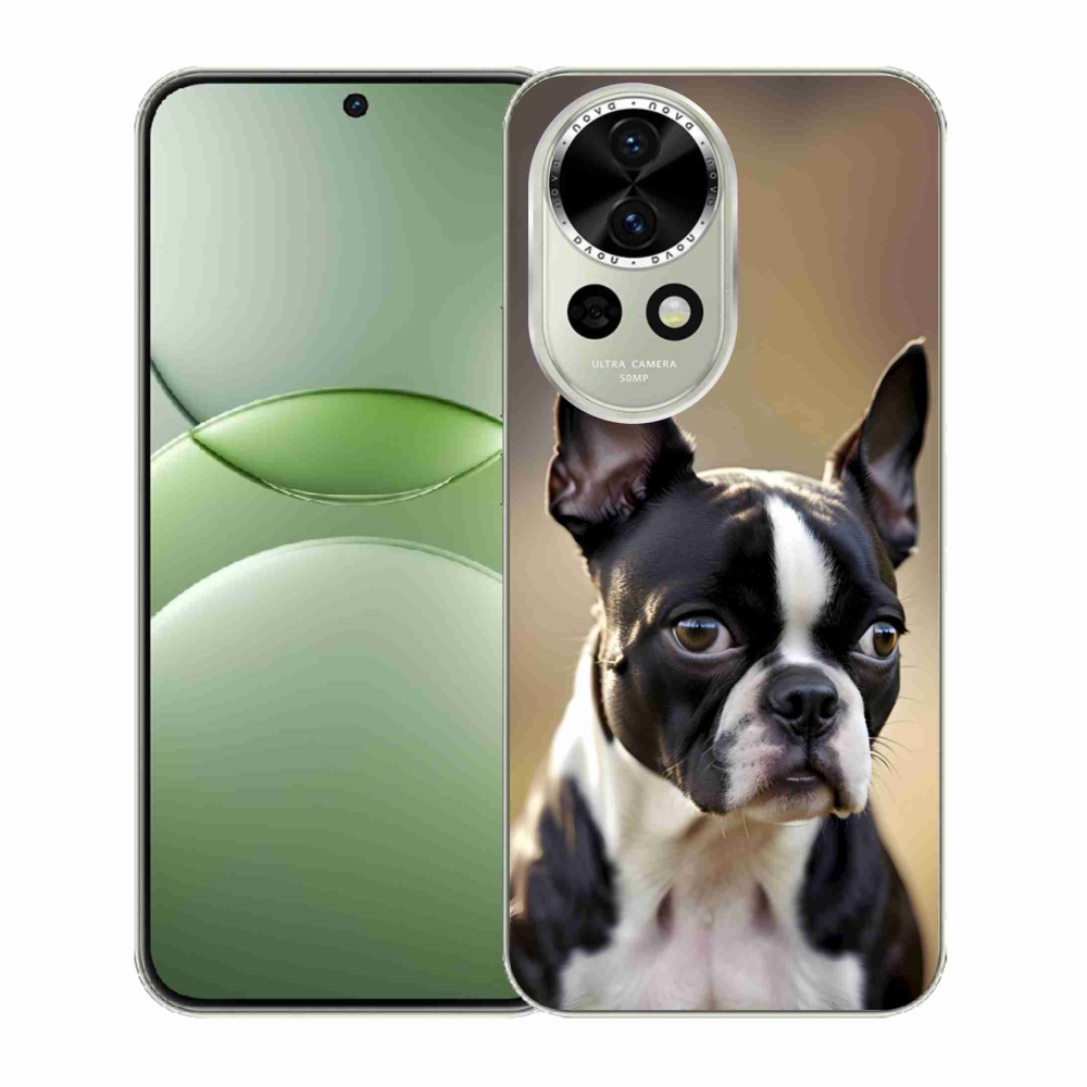 Gélový kryt mmCase na Huawei Nova 13 5G - bostonský teriér