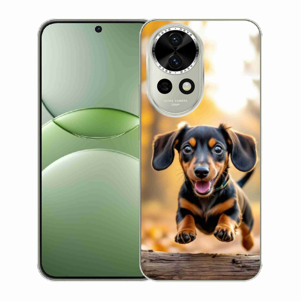 Gélový kryt mmCase na Huawei Nova 13 5G - jazvečík 2