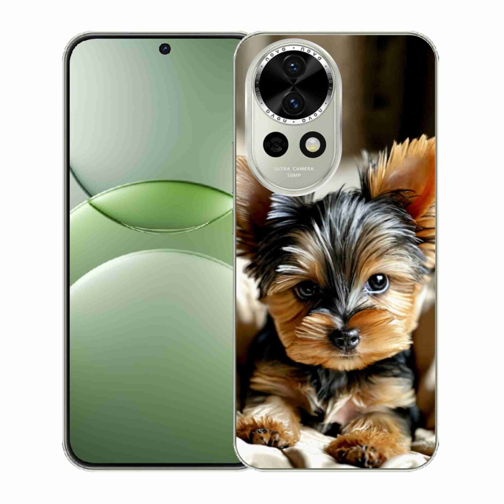 Gélový kryt mmCase na Huawei Nova 13 5G - yorkšír 11