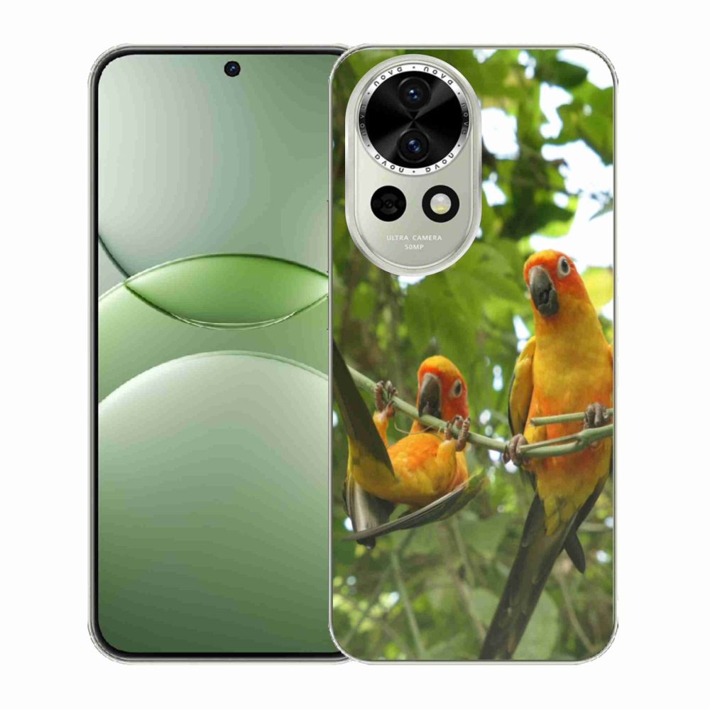 Gélový kryt mmCase na Huawei Nova 13 5G - papagáje aratingy