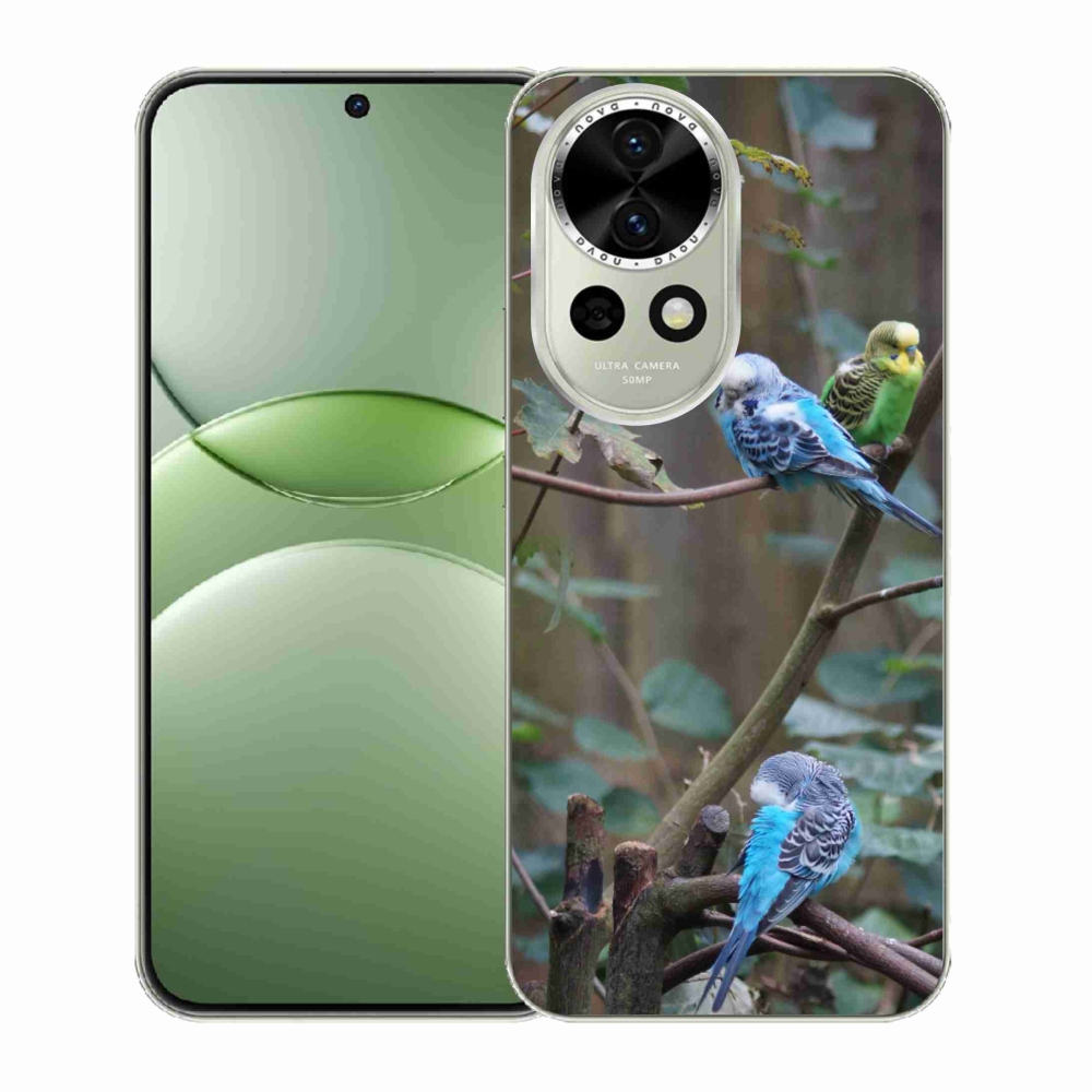 Gélový kryt mmCase na Huawei Nova 13 5G - papagáje na vetve