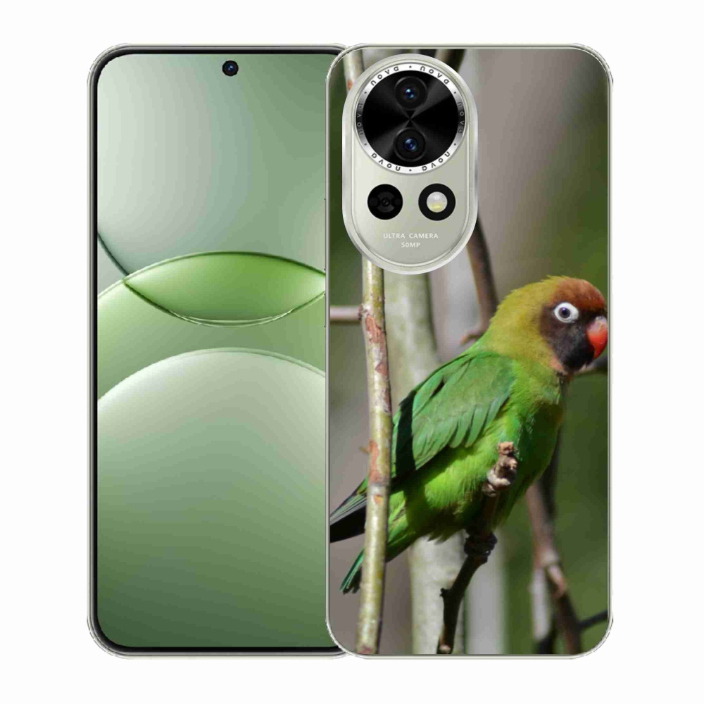 Gélový kryt mmCase na Huawei Nova 13 5G - papagáj agapornis