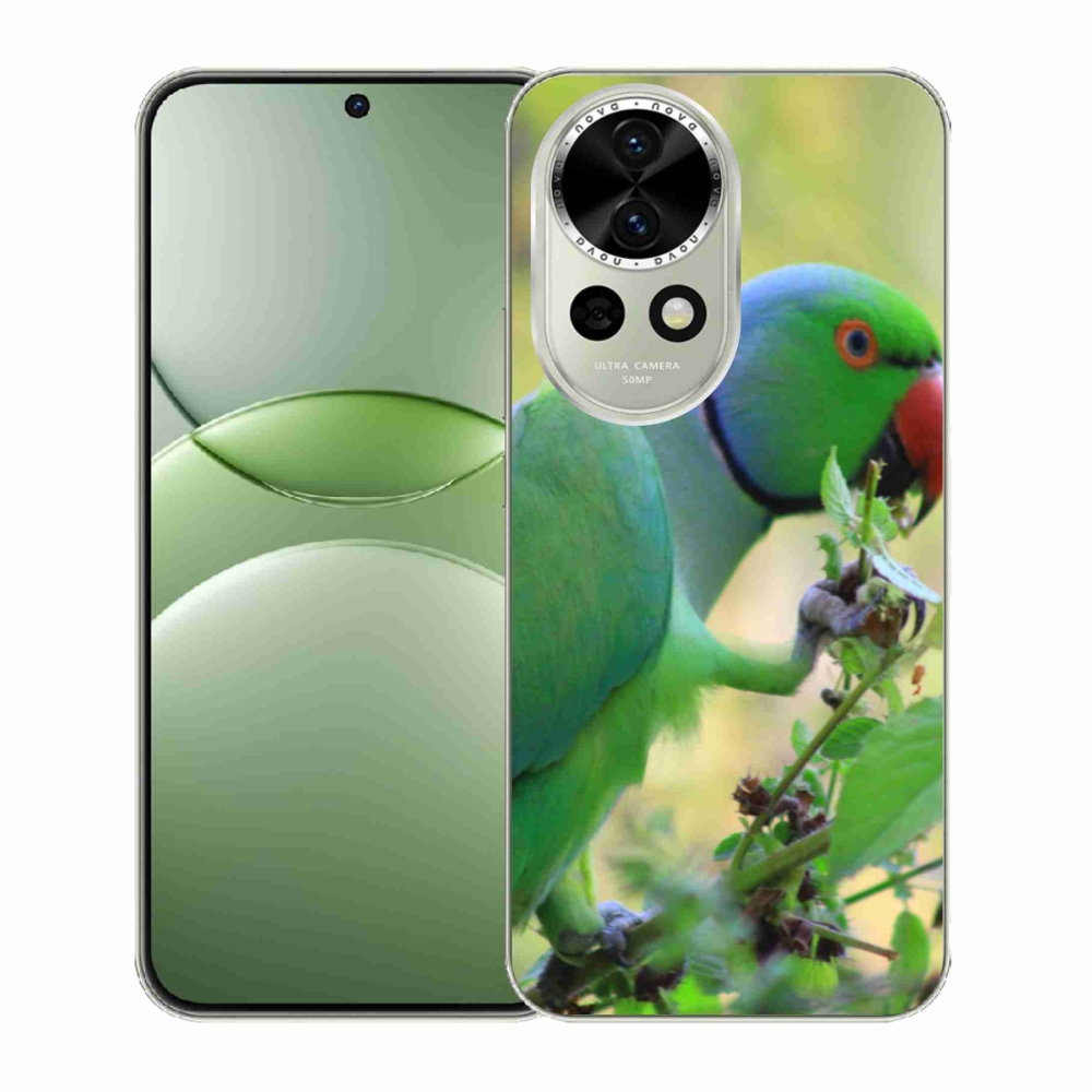 Gélový kryt mmCase na Huawei Nova 13 5G - papagáj Alexandr