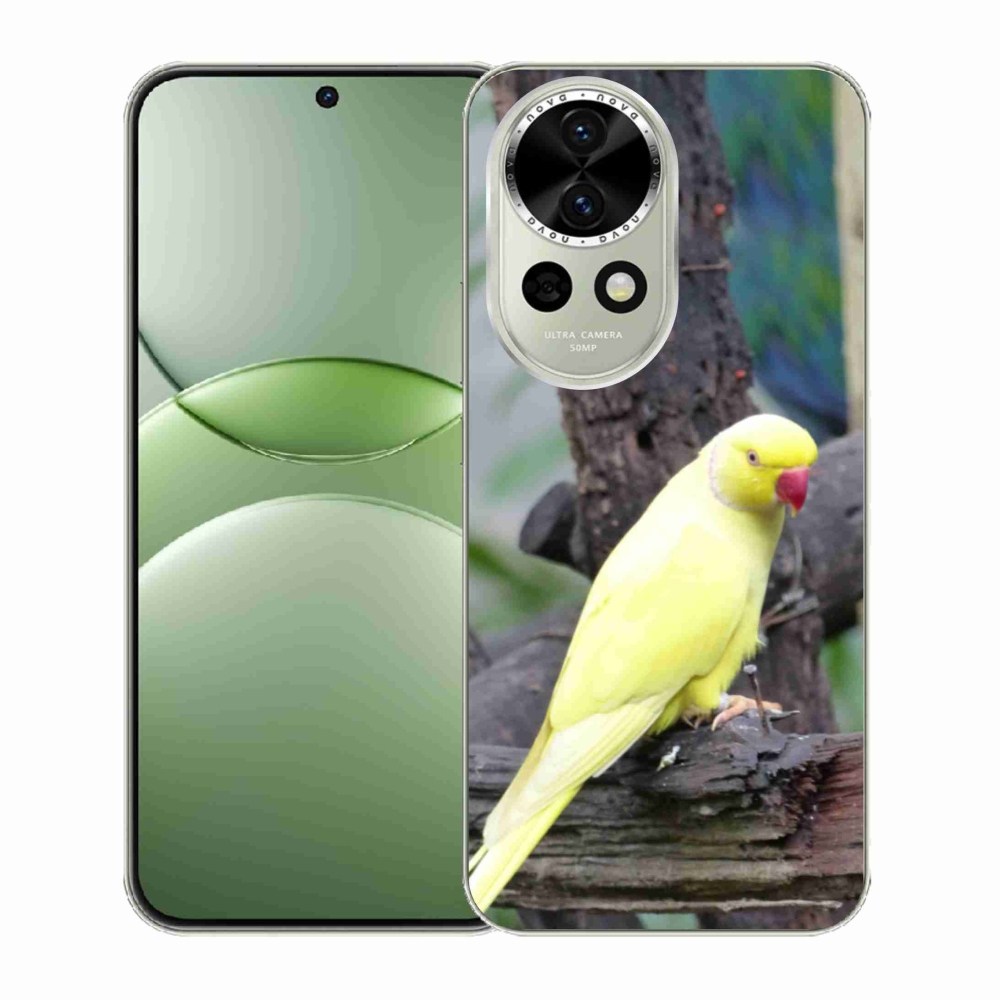 Gélový kryt mmCase na Huawei Nova 13 5G - papagáj alexander žltý