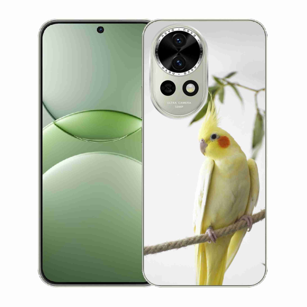 Gélový kryt mmCase na Huawei Nova 13 5G - papagáj korela chocholatá
