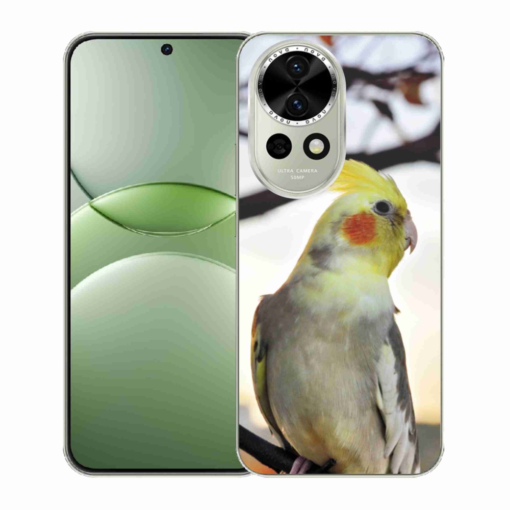 Gélový kryt mmCase na Huawei Nova 13 5G - papagáj korela