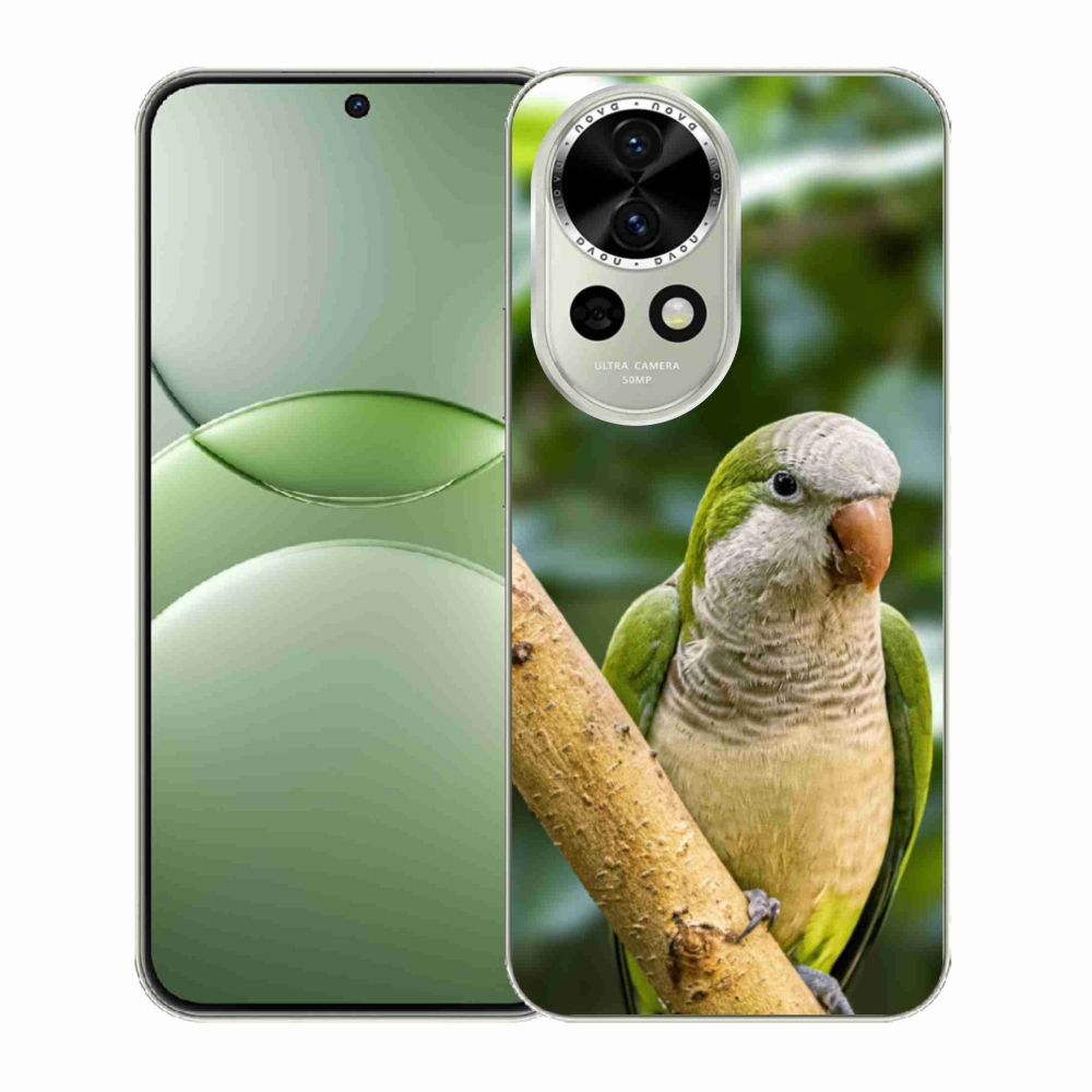 Gélový kryt mmCase na Huawei Nova 13 5G - papagáj mníšok