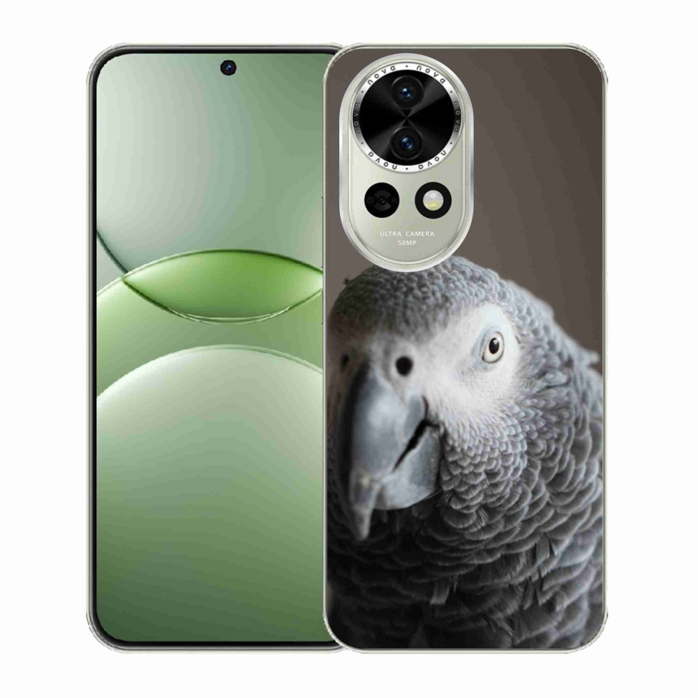 Gélový kryt mmCase na Huawei Nova 13 5G - papagáj žako 2