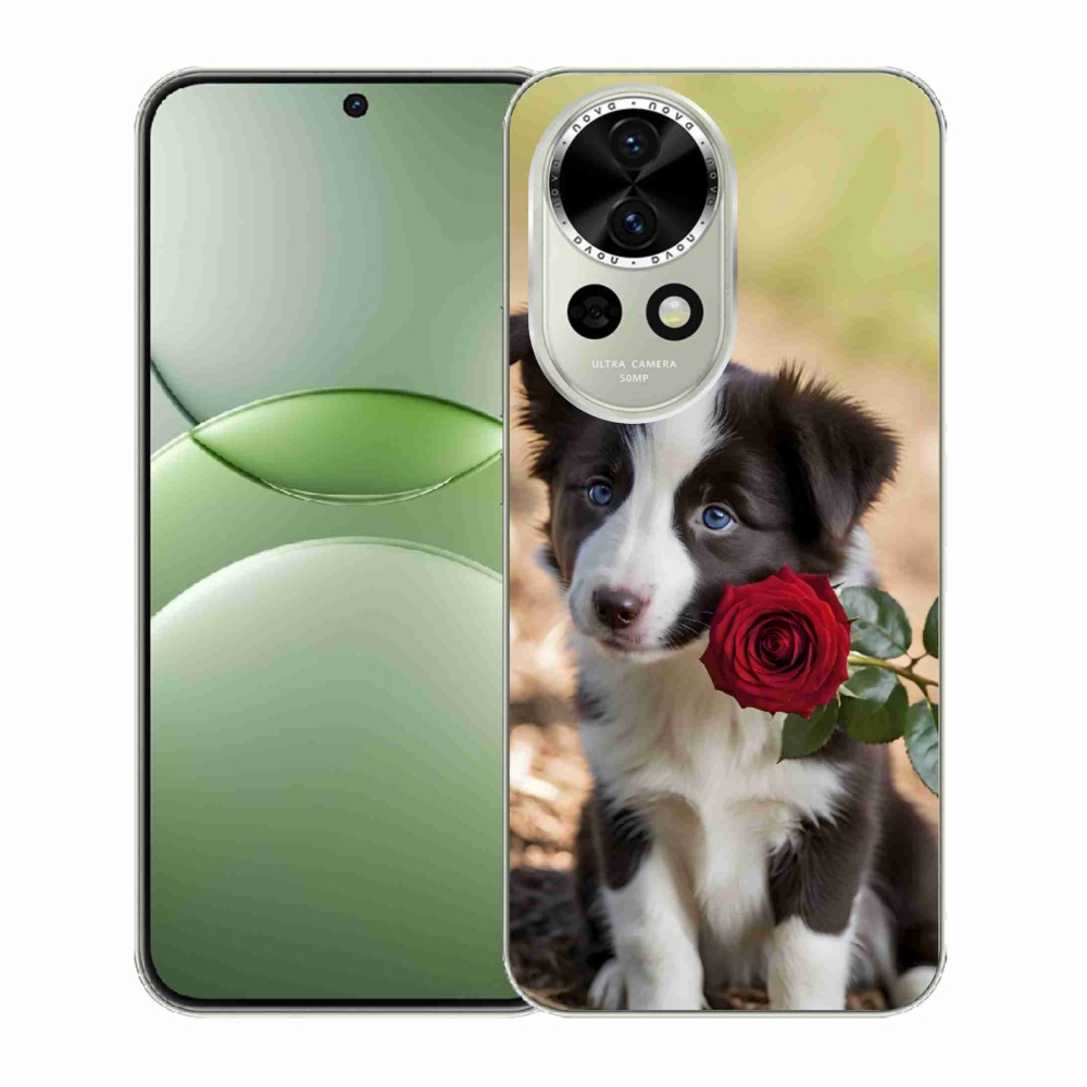 Gélový kryt mmCase na Huawei Nova 13 5G - roztomilá border kólia s ružou