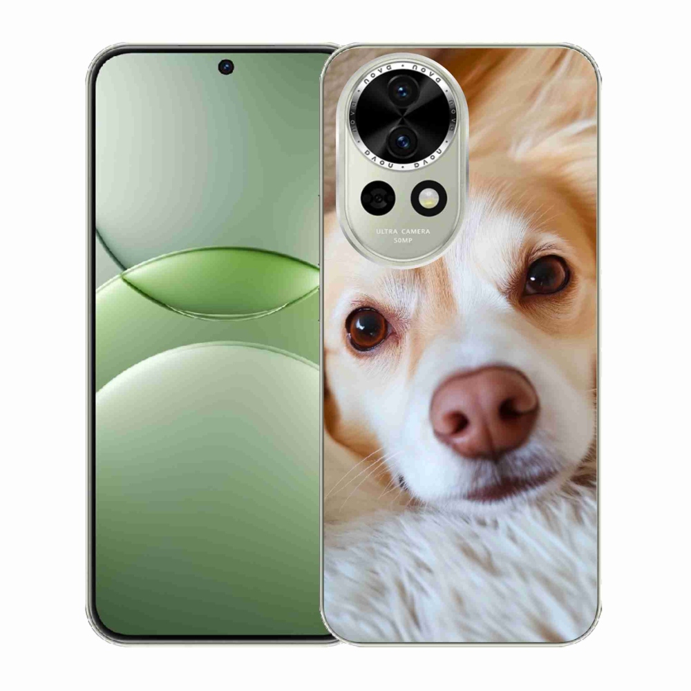 Gélový kryt mmCase na Huawei Nova 13 5G - Roztomilá čivava