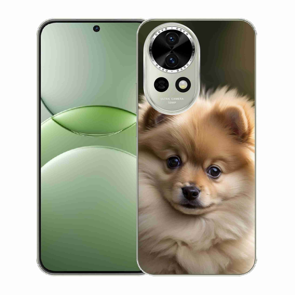 Gélový kryt mmCase na Huawei Nova 13 5G - roztomilý pomeranian 2