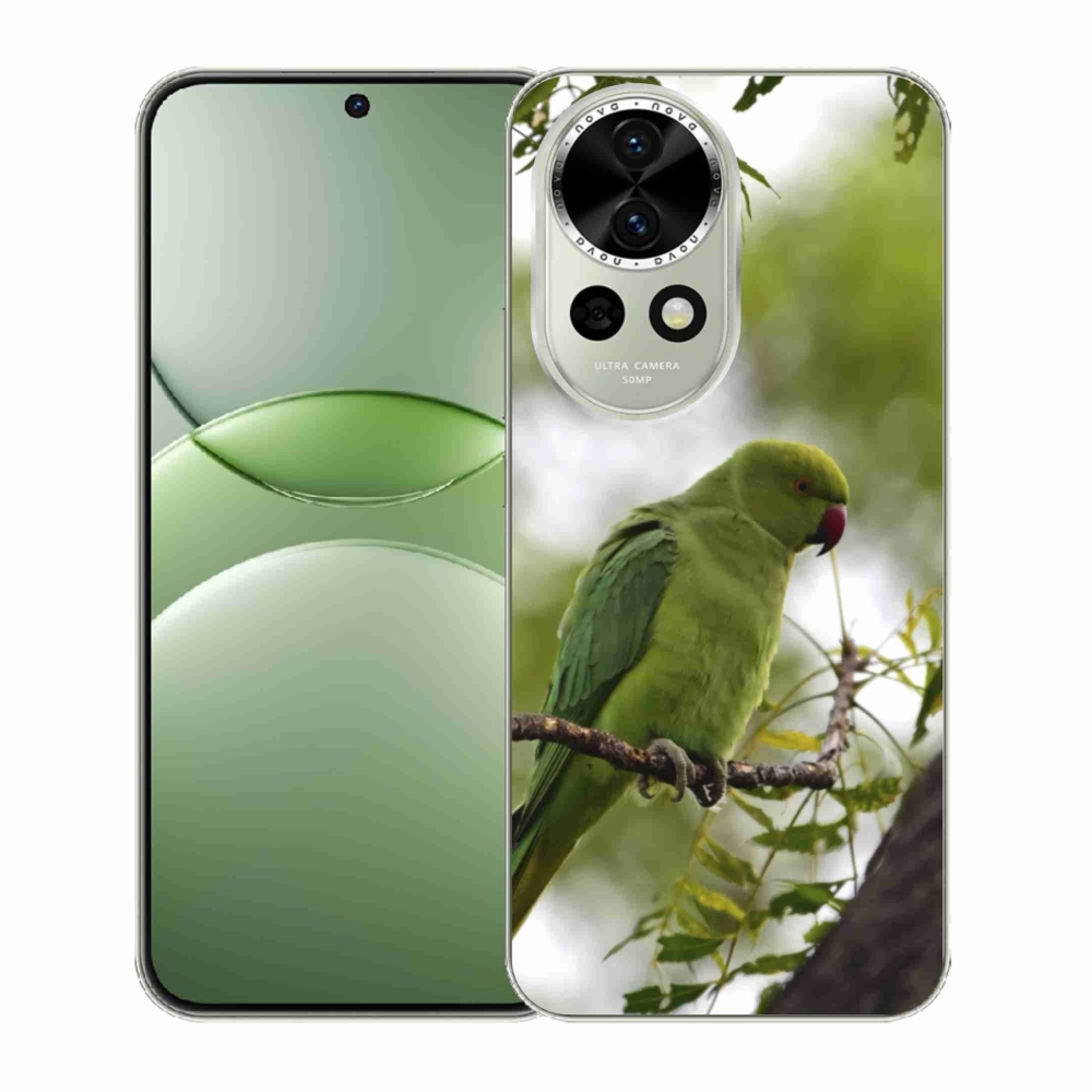 Gélový kryt mmCase na Huawei Nova 13 5G - zelený papagáj