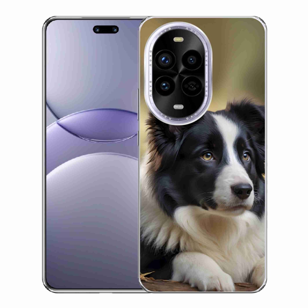 Gélový kryt mmCase na Huawei Nova 13 Pro 5G - border kólia 2