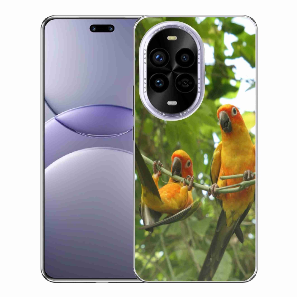 Gélový kryt mmCase na Huawei Nova 13 Pro 5G - papagáje aratingy