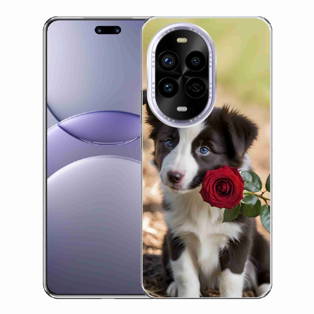 Gélový kryt mmCase na Huawei Nova 13 Pro 5G - roztomilá border kólia s ružou