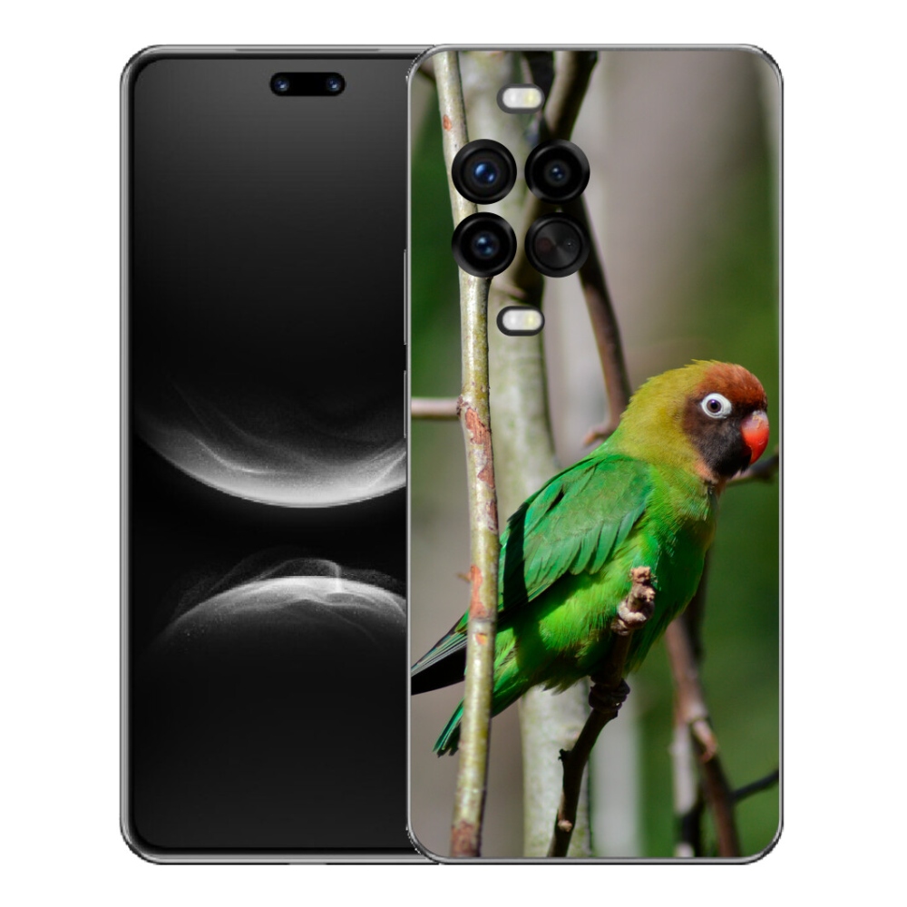 Gélový kryt mmCase na Huawei Nova 14 Pro - papagáj agapornis