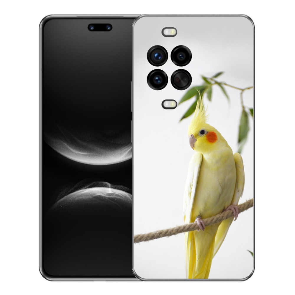 Gélový kryt mmCase na Huawei Nova 14 Pro - papagáj korela chocholatá
