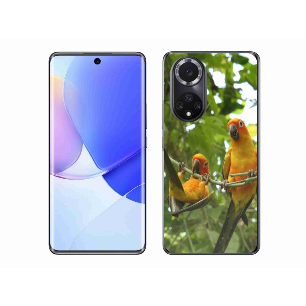 Gélový kryt mmCase na Huawei Nova 9 - papagáje aratingy