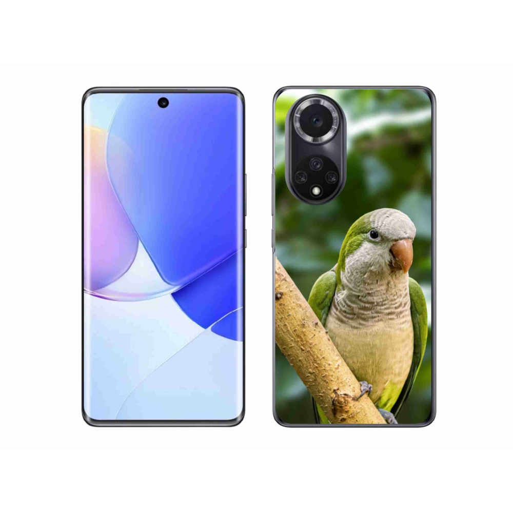 Gélový kryt mmCase na Huawei Nova 9 - papagáj mníšok