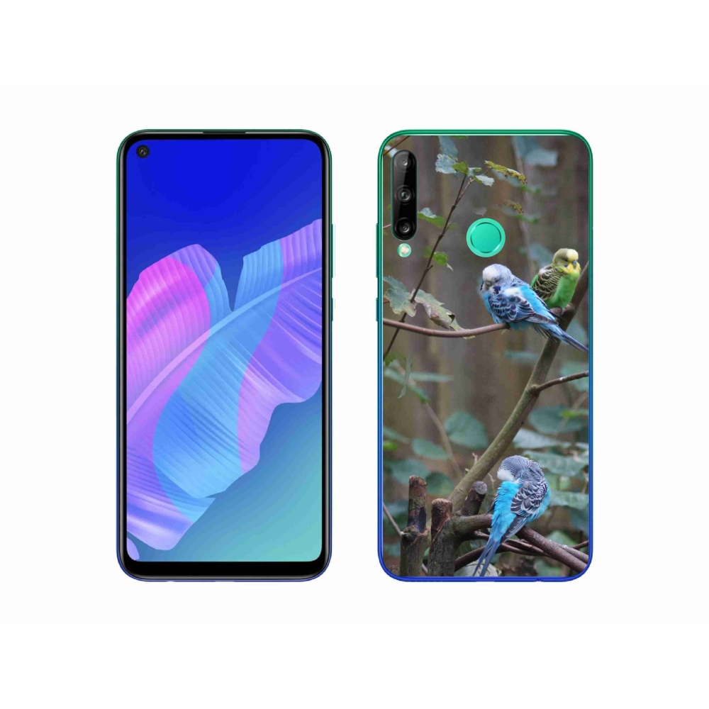 Gélový kryt mmCase na Huawei P40 Lite E - papagáje na vetve