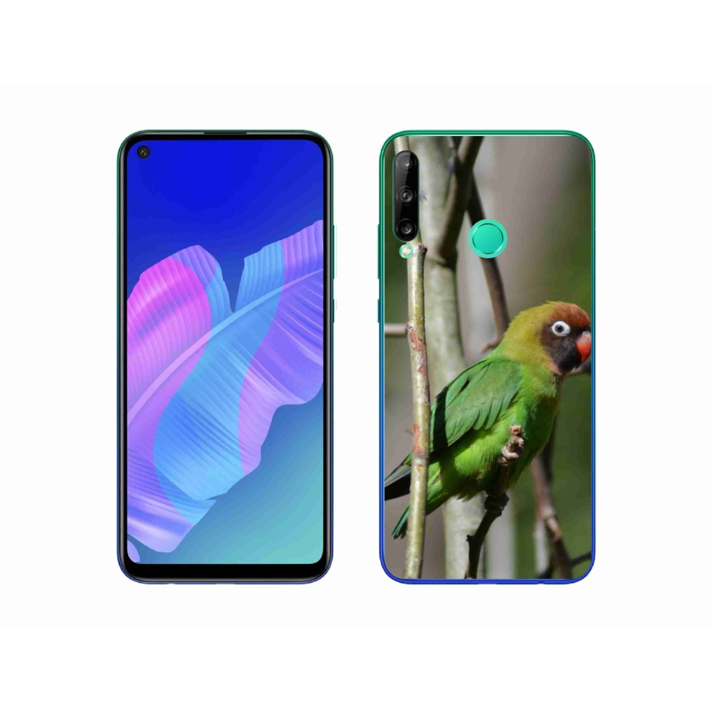Gélový kryt mmCase na Huawei P40 Lite E - papagáj agapornis