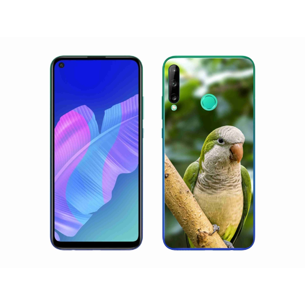 Gélový kryt mmCase na Huawei P40 Lite E - papagáj mníšok