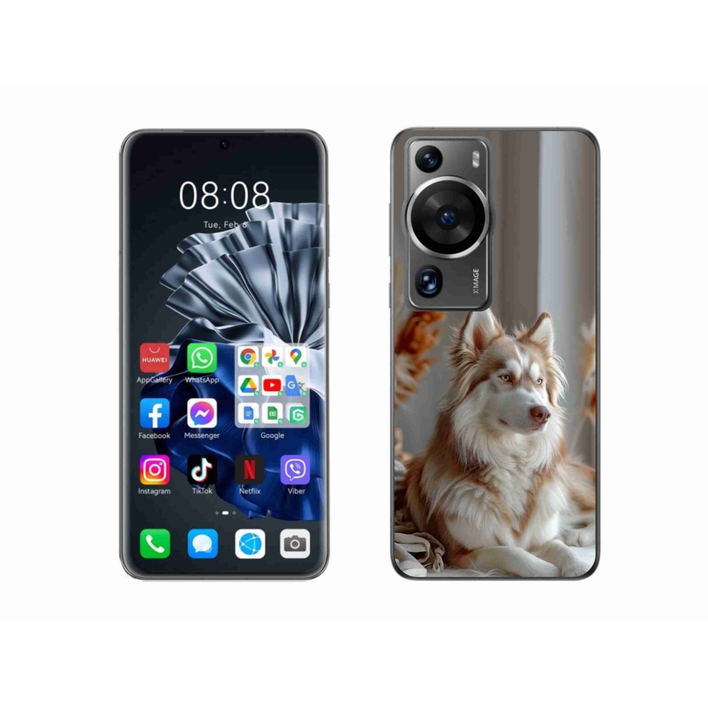 Gélový kryt mmCase na Huawei P60 Pro - pokojný sibírsky husky