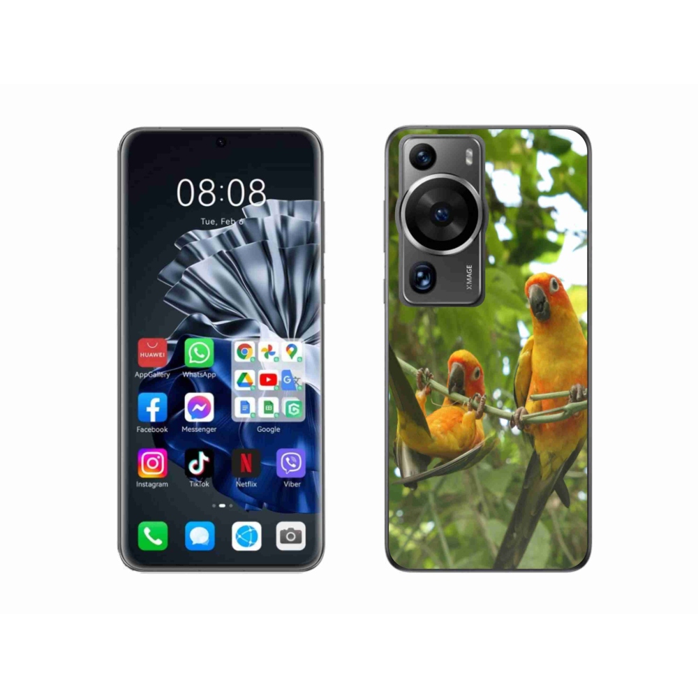 Gélový kryt mmCase na Huawei P60 Pro - papagáje aratingy
