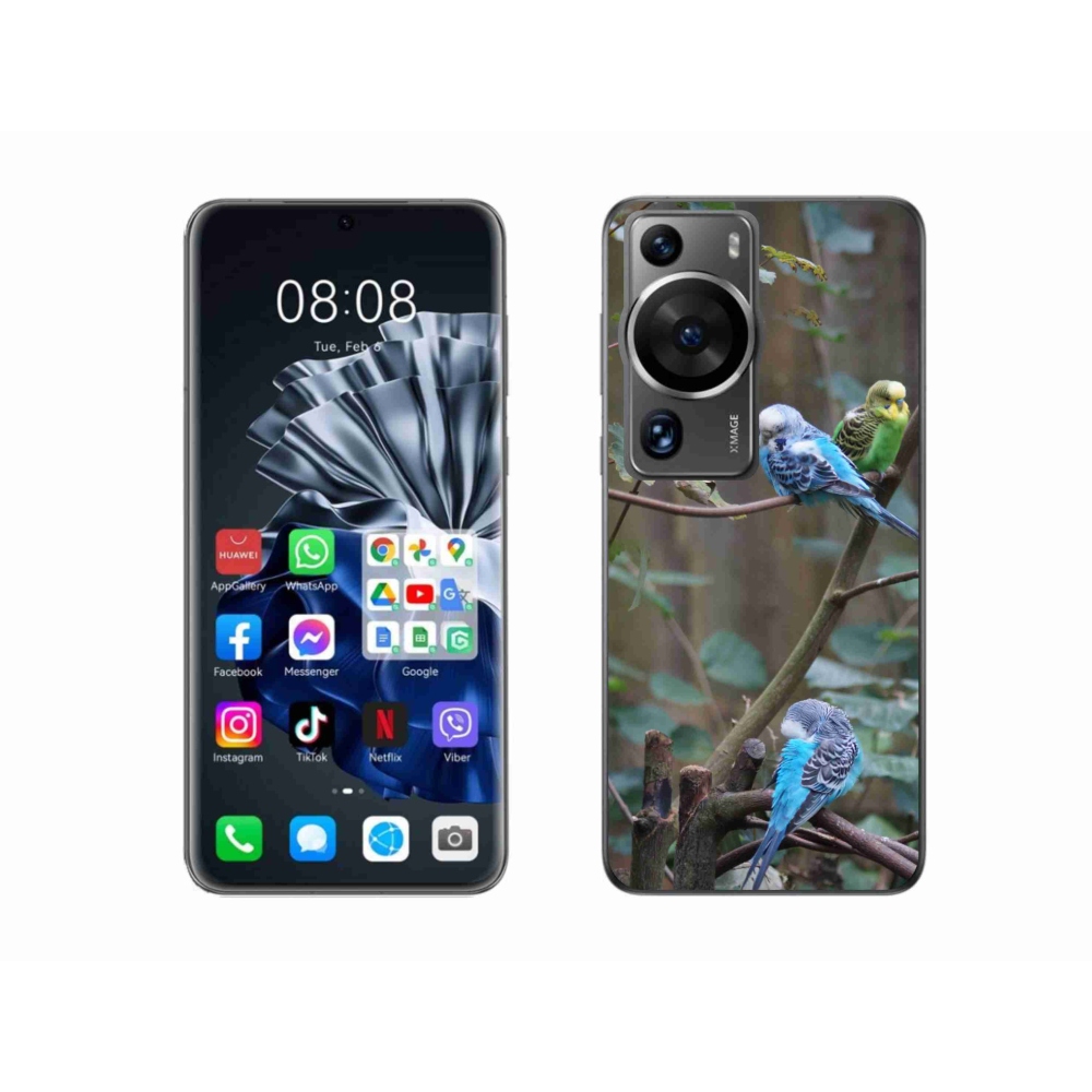 Gélový kryt mmCase na Huawei P60 Pro - papagáje na vetve