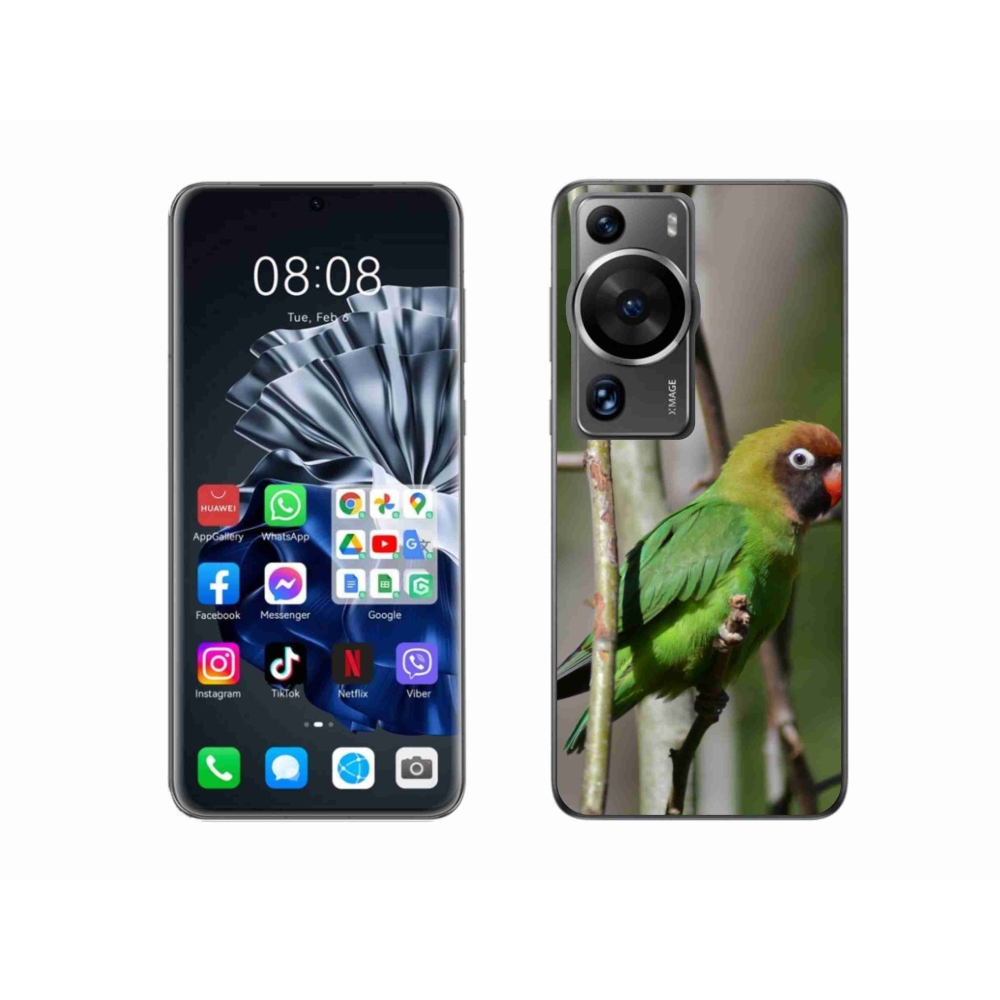 Gélový kryt mmCase na Huawei P60 Pro - papagáj agapornis