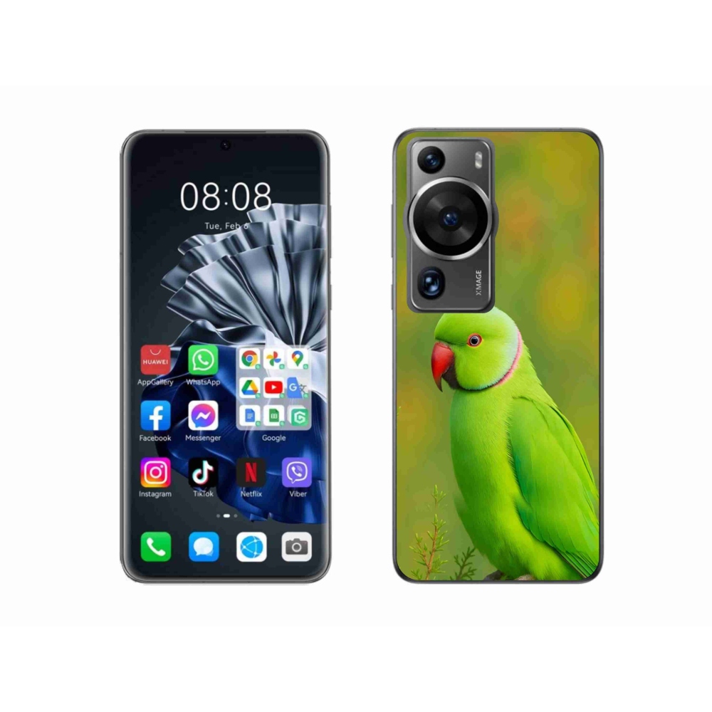 Gélový kryt mmCase na Huawei P60 Pro - papagáj Alexandr 2