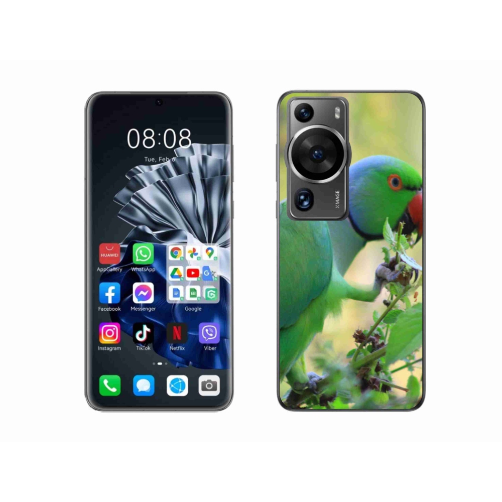 Gélový kryt mmCase na Huawei P60 Pro - papagáj Alexandr