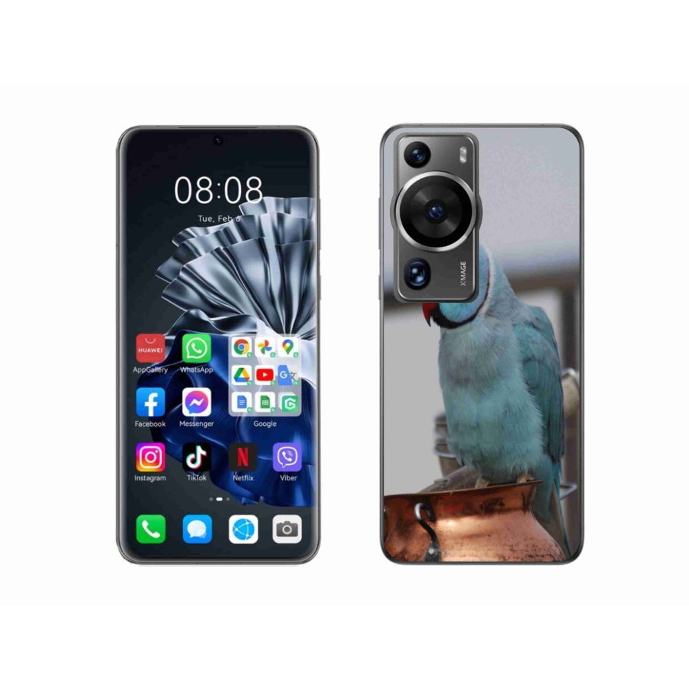 Gélový kryt mmCase na Huawei P60 Pro - papagáj Alexandr modrý